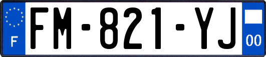 FM-821-YJ