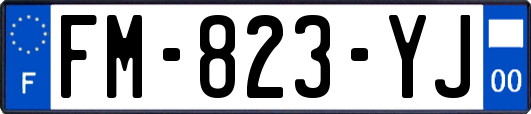 FM-823-YJ