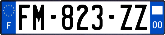 FM-823-ZZ