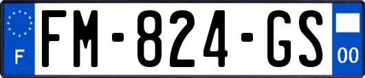 FM-824-GS