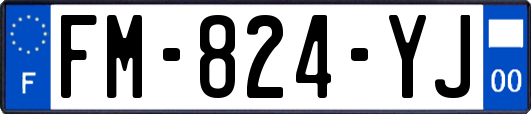 FM-824-YJ