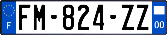 FM-824-ZZ