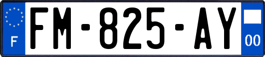 FM-825-AY