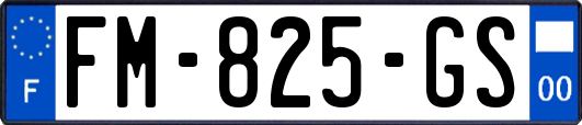 FM-825-GS