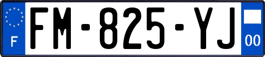 FM-825-YJ