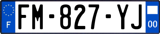 FM-827-YJ