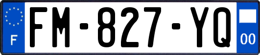 FM-827-YQ