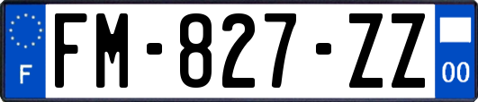 FM-827-ZZ
