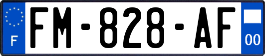 FM-828-AF