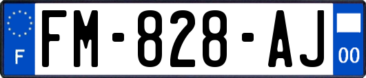 FM-828-AJ