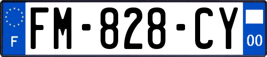 FM-828-CY