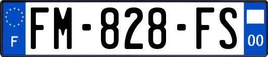 FM-828-FS