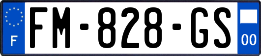 FM-828-GS