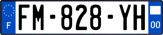 FM-828-YH