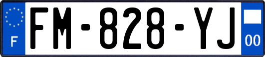 FM-828-YJ