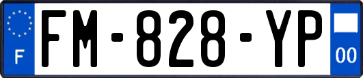 FM-828-YP