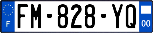 FM-828-YQ