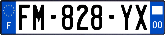 FM-828-YX