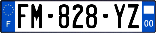 FM-828-YZ