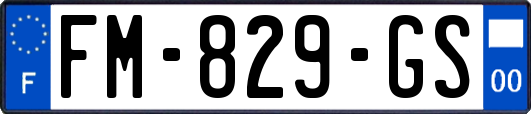FM-829-GS