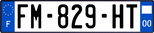 FM-829-HT