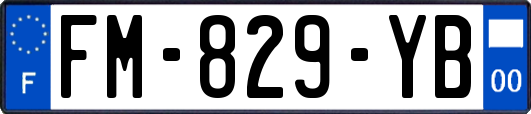 FM-829-YB