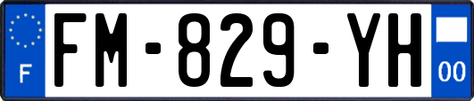 FM-829-YH