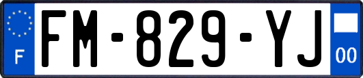 FM-829-YJ