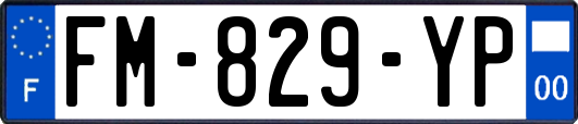 FM-829-YP