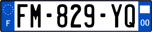 FM-829-YQ