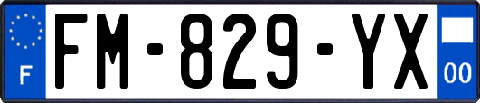 FM-829-YX