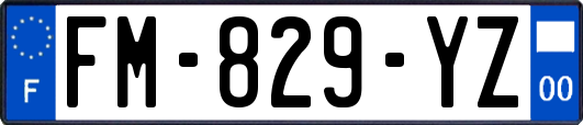 FM-829-YZ