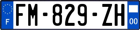 FM-829-ZH