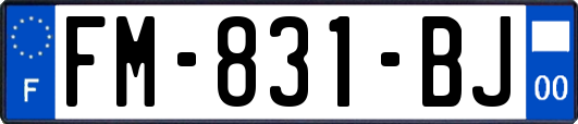 FM-831-BJ