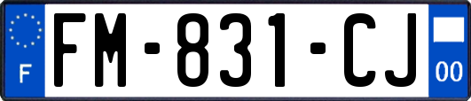 FM-831-CJ