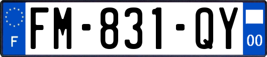 FM-831-QY