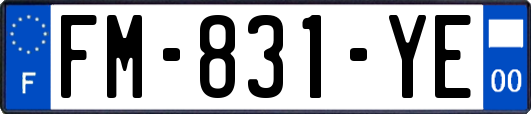 FM-831-YE
