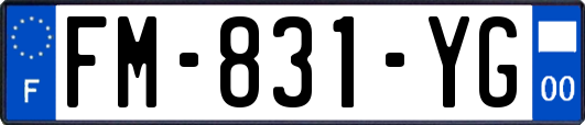 FM-831-YG