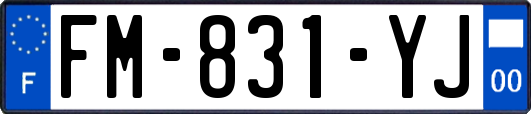 FM-831-YJ