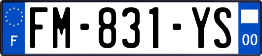 FM-831-YS