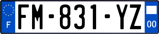 FM-831-YZ