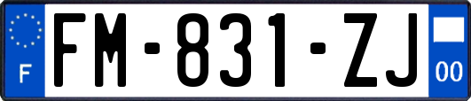 FM-831-ZJ