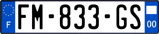 FM-833-GS