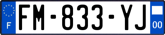 FM-833-YJ
