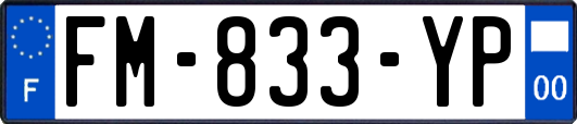 FM-833-YP