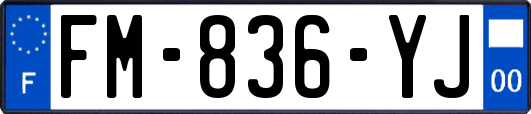 FM-836-YJ