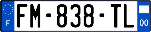 FM-838-TL