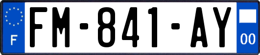 FM-841-AY