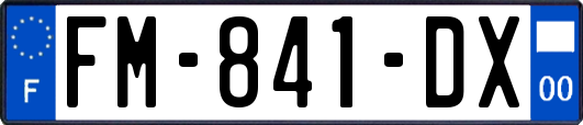 FM-841-DX