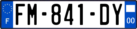 FM-841-DY